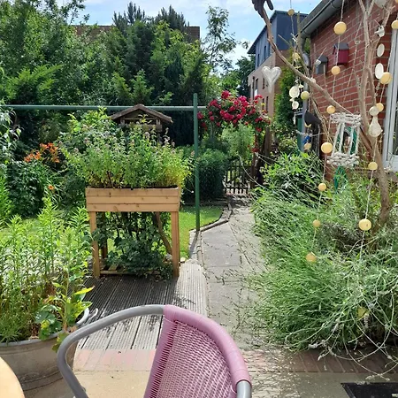 דירה Muschelkaestchen Eg *