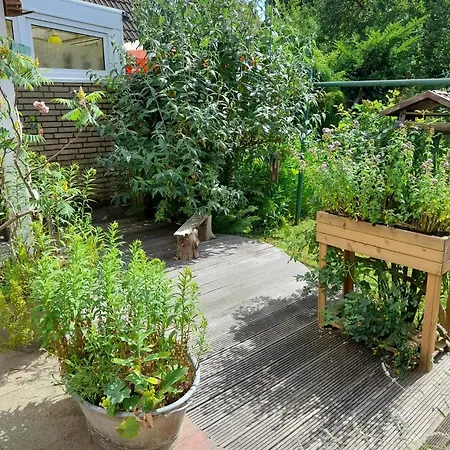 דירה Muschelkaestchen Eg *