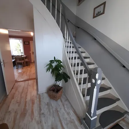 Muschelkaestchen Eg Tönning