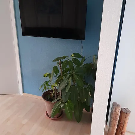 Muschelkaestchen Eg